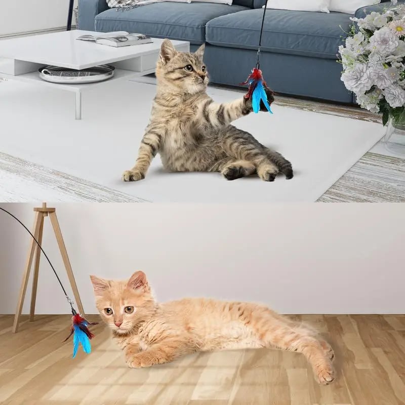 Interactive Self-Play Cat Toy - Keep Indoor Cats Active & Entertained